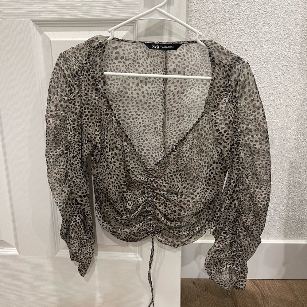 Zara Leopard Print Sheer Top